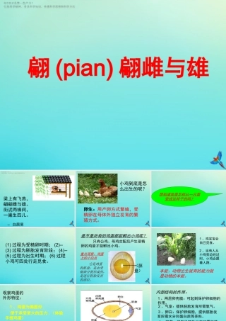 四年级科学下册 第2单元 生生不息 2.3 翩翩雌与雄课件 （新版）湘科版-人教版小学四年级下册自然科学课件