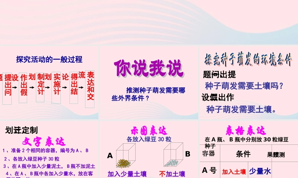 四年级科学下册 1.1《认识种子和研究种子萌发的条件》课件1 湘教版-湘教版小学四年级下册自然科学课件