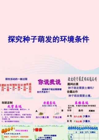 四年级科学下册 1.1《认识种子和研究种子萌发的条件》课件1 湘教版-湘教版小学四年级下册自然科学课件