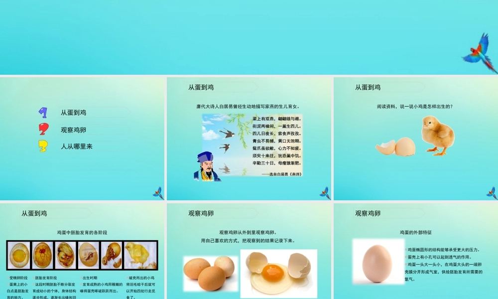 四年级科学下册 第2单元 生生不息 2.3 翩翩雌与雄课件 （新版）湘科版-人教级下册自然科学课件