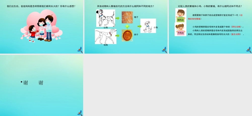 四年级科学下册 第2单元 生生不息 2.3 翩翩雌与雄课件 （新版）湘科版-人教级下册自然科学课件