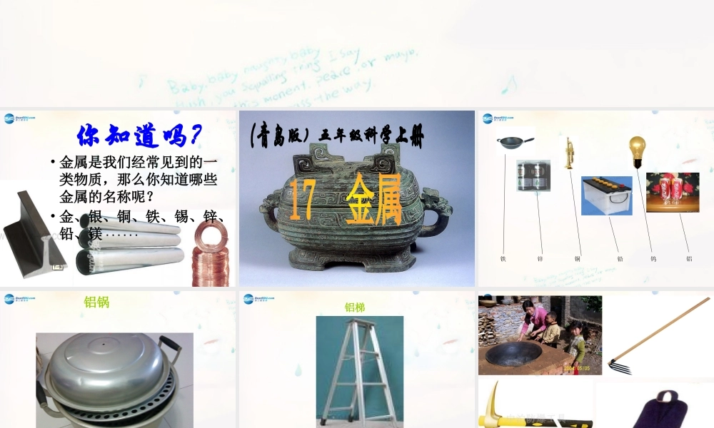 四年级科学下册《金属》课件 青岛版