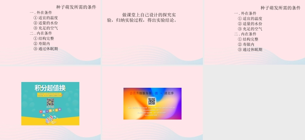 四年级科学下册 1.1《认识种子和研究种子萌发的条件》课件2 湘教版-湘教版小学四年级下册自然科学课件