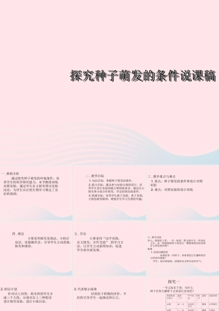 四年级科学下册 1.1《认识种子和研究种子萌发的条件》课件2 湘教版-湘教版小学四年级下册自然科学课件