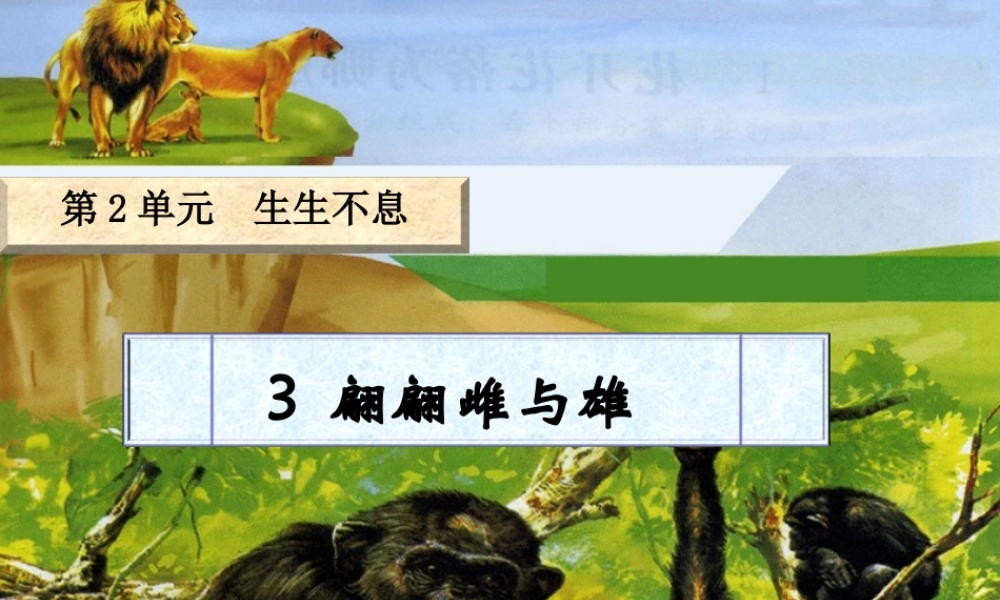 四年级科学下册 第2单元 生生不息 2.3《翩翩雌与雄》课件 （新版）湘科版-人教版小学四年级下册自然科学课件