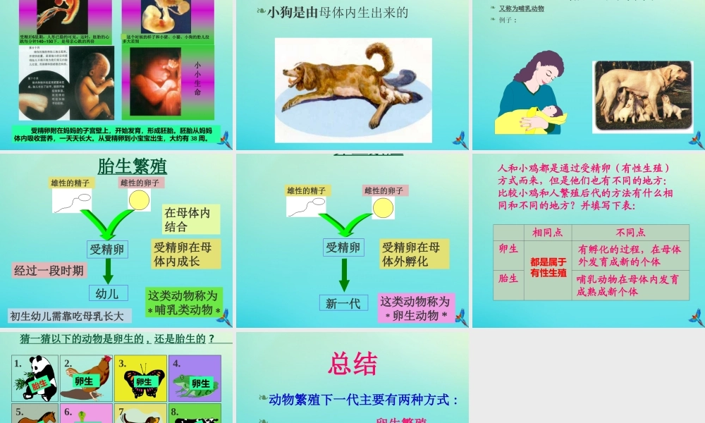 四年级科学下册 第2单元 生生不息 2.3《翩翩雌与雄》课件 （新版）湘科版-人教版小学四年级下册自然科学课件