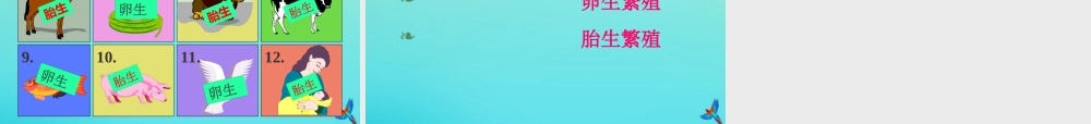 四年级科学下册 第2单元 生生不息 2.3《翩翩雌与雄》课件 （新版）湘科版-人教版小学四年级下册自然科学课件