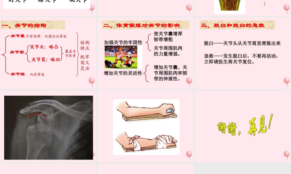 四年级科学下册 1.2关节课件 苏教版-苏教版小学四年级下册自然科学课件