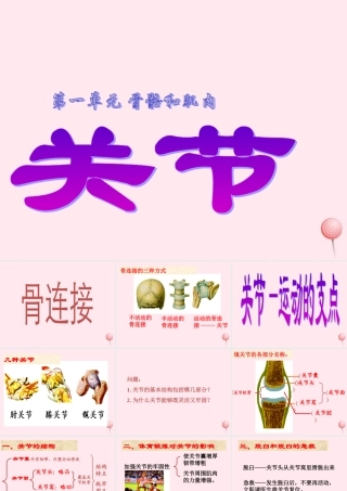 四年级科学下册 1.2关节课件 苏教版-苏教版小学四年级下册自然科学课件
