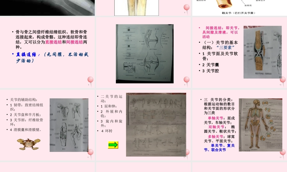 四年级科学下册 1.2关节课件1 苏教版-苏教版小学四年级下册自然科学课件