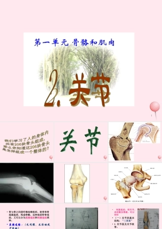 四年级科学下册 1.2关节课件1 苏教版-苏教版小学四年级下册自然科学课件