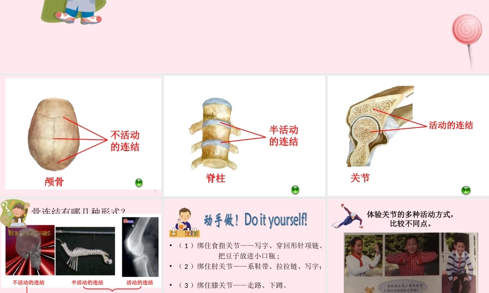 四年级科学下册 1.2关节课件2 苏教版-苏教版小学四年级下册自然科学课件