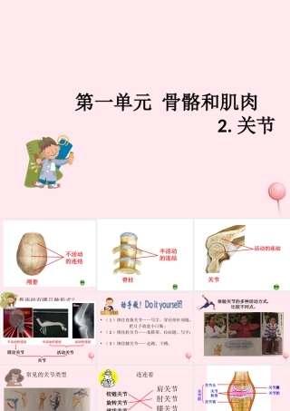 四年级科学下册 1.2关节课件2 苏教版-苏教版小学四年级下册自然科学课件