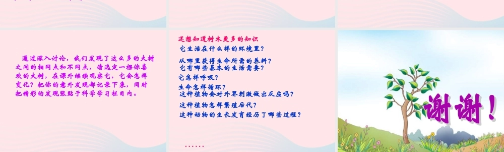 四年级科学上册 第7课《观察一棵树》课件（1） 鄂教版-鄂教版小学四年级上册自然科学课件