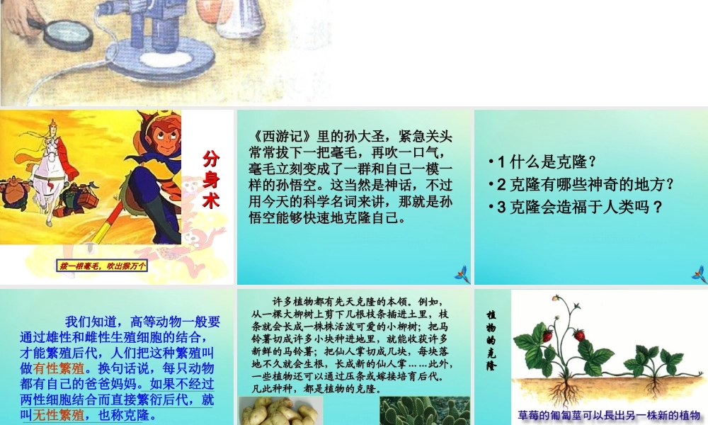 四年级科学下册 第2单元 生生不息 2.4 科技发展话克隆课件2 （新版）湘科版-人教版小学四年级下册自然科学课件