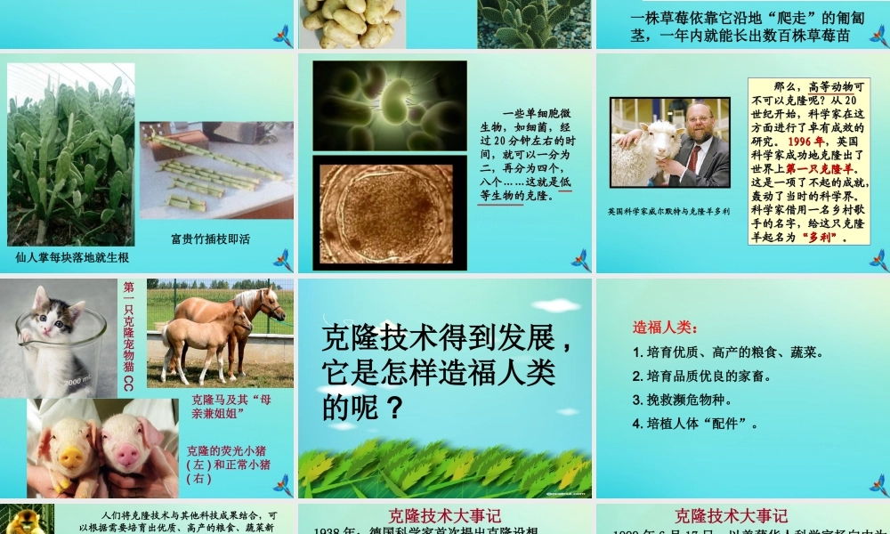 四年级科学下册 第2单元 生生不息 2.4 科技发展话克隆课件2 （新版）湘科版-人教版小学四年级下册自然科学课件