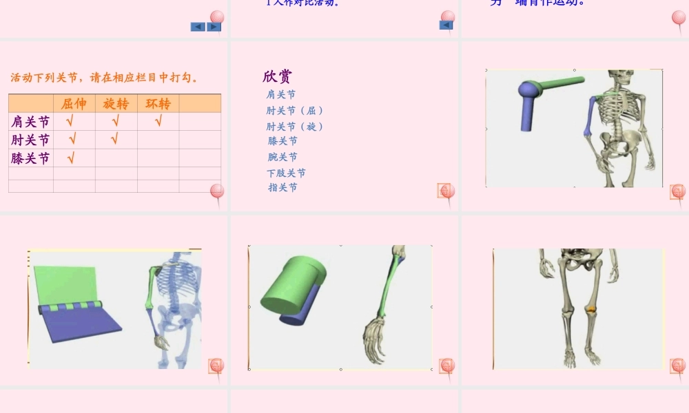 四年级科学下册 1.2关节课件3 苏教版-苏教版小学四年级下册自然科学课件