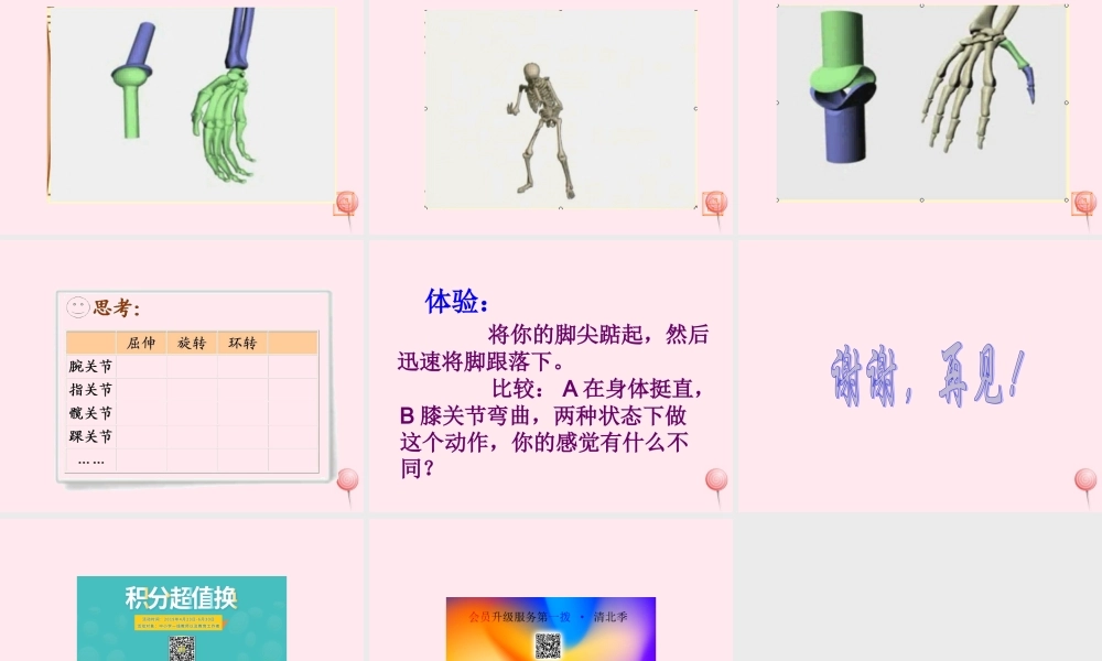 四年级科学下册 1.2关节课件3 苏教版-苏教版小学四年级下册自然科学课件