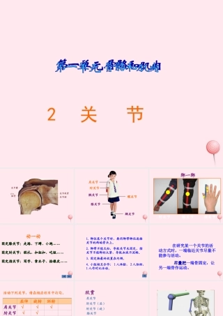 四年级科学下册 1.2关节课件3 苏教版-苏教版小学四年级下册自然科学课件
