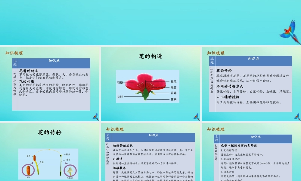 四年级科学下册 第2单元 生生不息复习课件 （新版）湘科版-人教版小学四年级下册自然科学课件