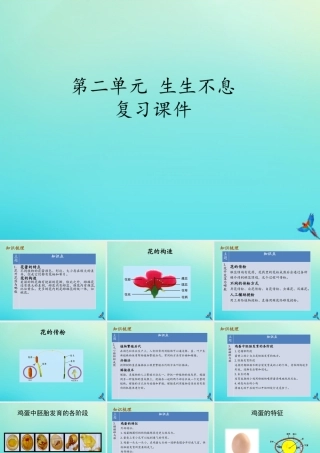 四年级科学下册 第2单元 生生不息复习课件 （新版）湘科版-人教版小学四年级下册自然科学课件