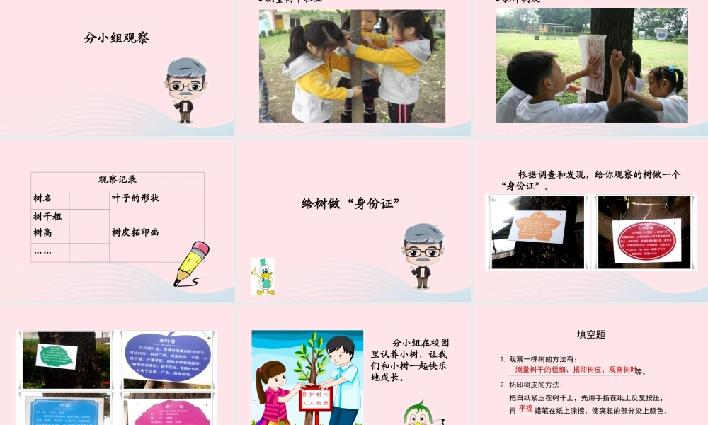 四年级科学上册 第7课《观察一棵树》课件（2） 鄂教版-鄂教版小学四年级上册自然科学课件