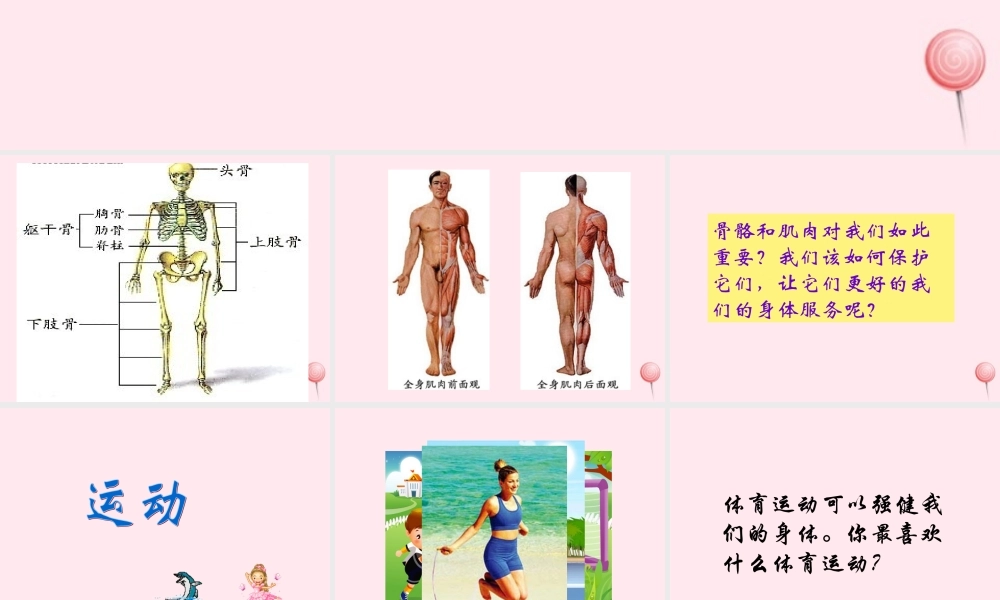 四年级科学下册 1.4骨骼、肌肉的保健课件1 苏教版-苏教版小学四年级下册自然科学课件