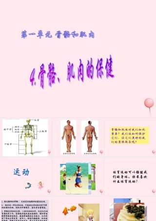 四年级科学下册 1.4骨骼、肌肉的保健课件1 苏教版-苏教版小学四年级下册自然科学课件