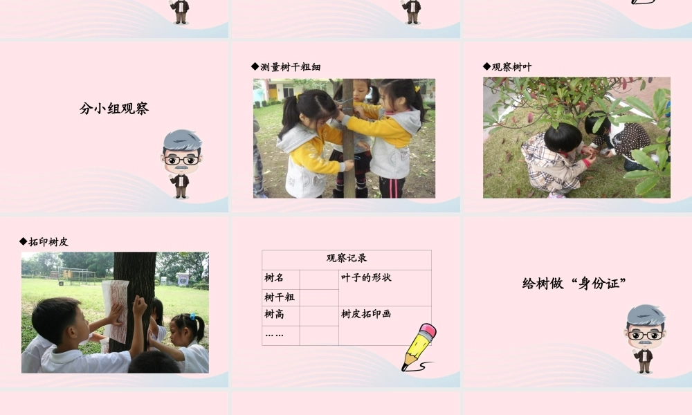 四年级科学上册 第7课《观察一棵树》课件（3） 鄂教版-鄂教版小学四年级上册自然科学课件