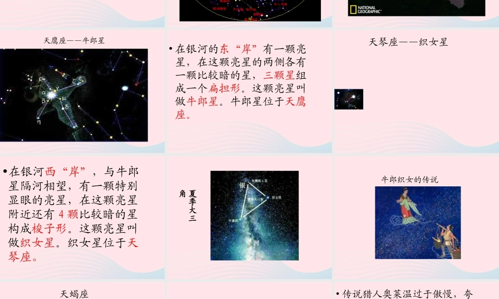 四年级科学下册 第二单元 春夏星空 第8课《夏季星空》课件 青岛版五四制-青岛版小学四年级下册自然科学课件