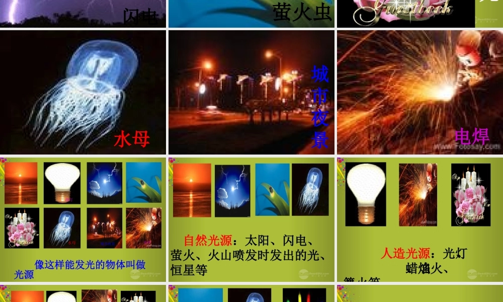 四年级科学下册《认识光》课件8 青岛版