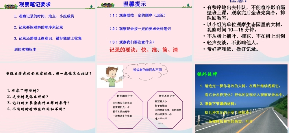 四年级科学上册 第7课《观察一棵树》课件（4） 鄂教版-鄂教版小学四年级上册自然科学课件