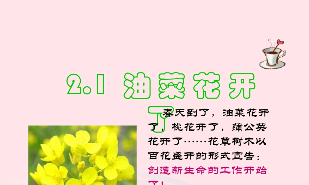 四年级科学下册 2 新的生命 1 油菜花开了课件 教科版-教科版小学四年级下册自然科学课件