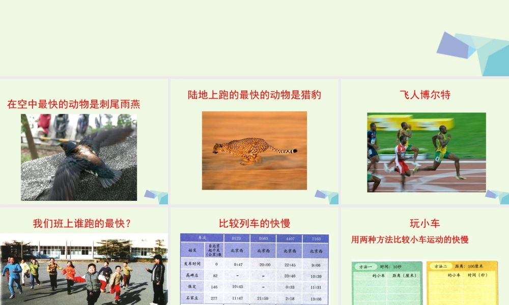 四年级科学上册 第8课 快与慢课件2 冀教版-冀教版小学四年级上册自然科学课件