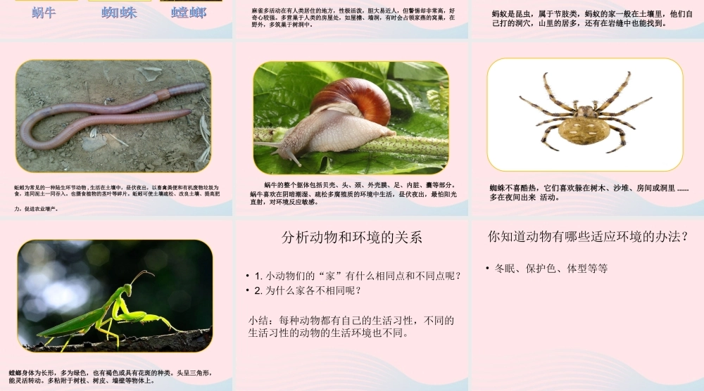 四年级科学上册 第8课《小动物的家》课件（1） 鄂教版-鄂教版小学四年级上册自然科学课件
