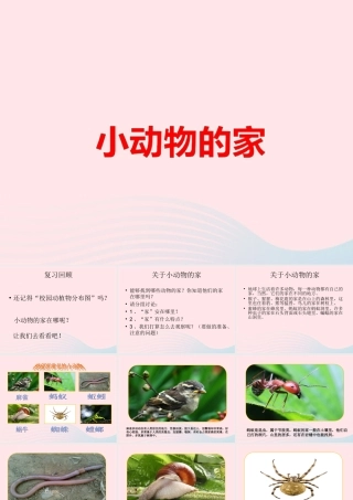 四年级科学上册 第8课《小动物的家》课件（1） 鄂教版-鄂教版小学四年级上册自然科学课件