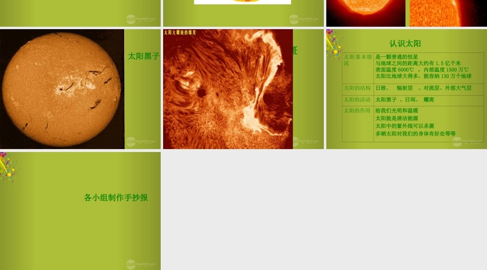 四年级科学下册《认识太阳》课件3 青岛版
