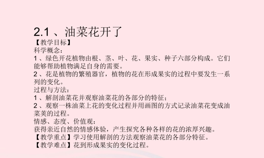 四年级科学下册 2 新的生命 1 油菜花开了课件1 教科版-教科版小学四年级下册自然科学课件