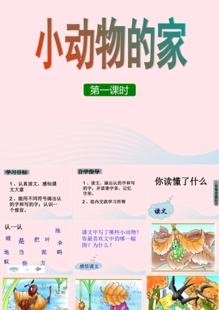 四年级科学上册 第8课《小动物的家》课件（2） 鄂教版-鄂教版小学四年级上册自然科学课件