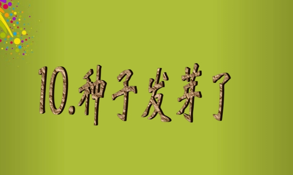 四年级科学下册《种子发芽了》课件1 青岛版