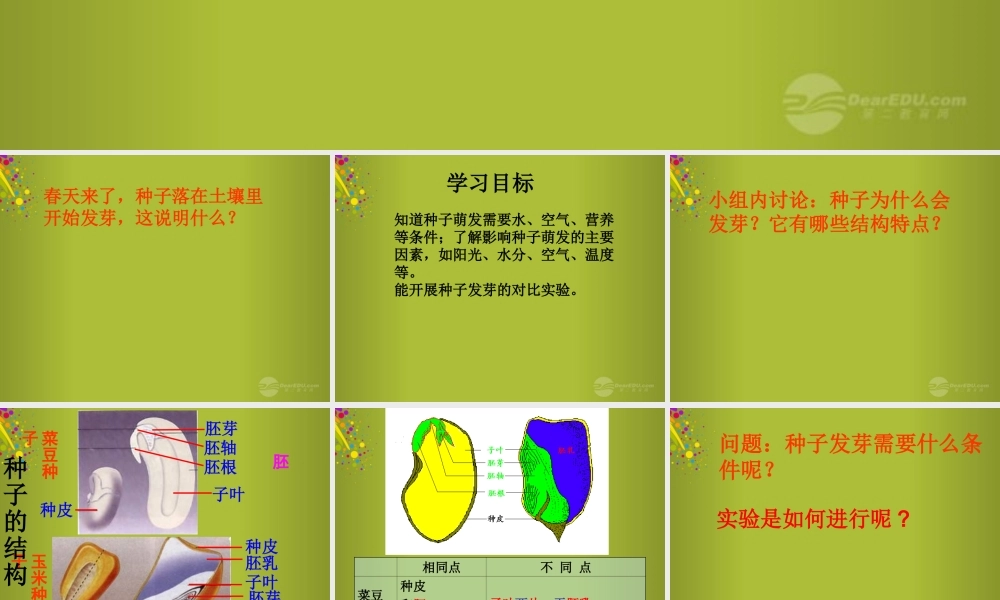 四年级科学下册《种子发芽了》课件1 青岛版