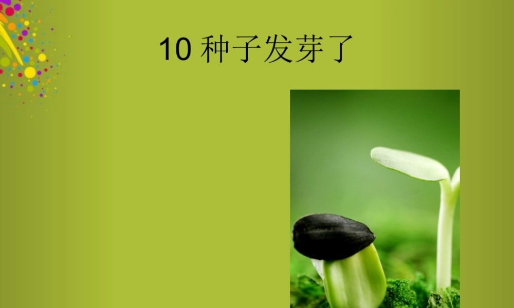 四年级科学下册《种子发芽了》课件2 青岛版