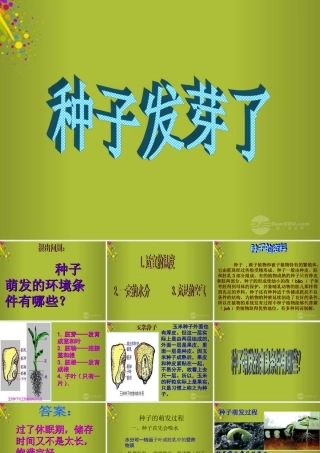 四年级科学下册《种子发芽了》课件4 青岛版