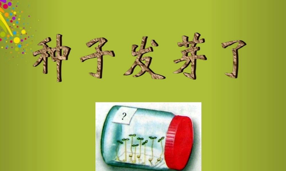 四年级科学下册《种子发芽了》课件6 青岛版