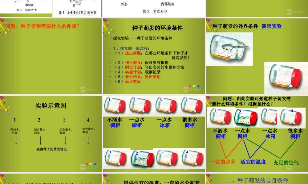 四年级科学下册《种子发芽了》课件6 青岛版