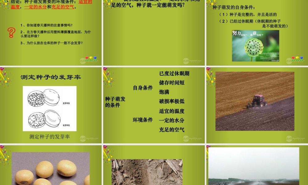 四年级科学下册《种子发芽了》课件6 青岛版