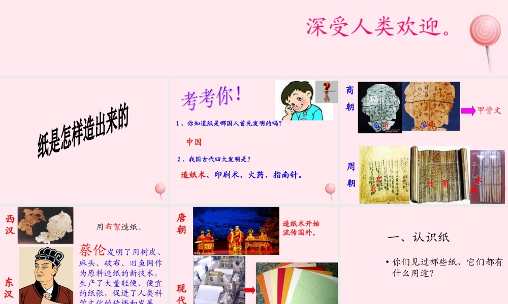 四年级科学下册 第二单元 第11课《纸是怎样造出来的》课件2 鄂教版-鄂教版小学四年级下册自然科学课件