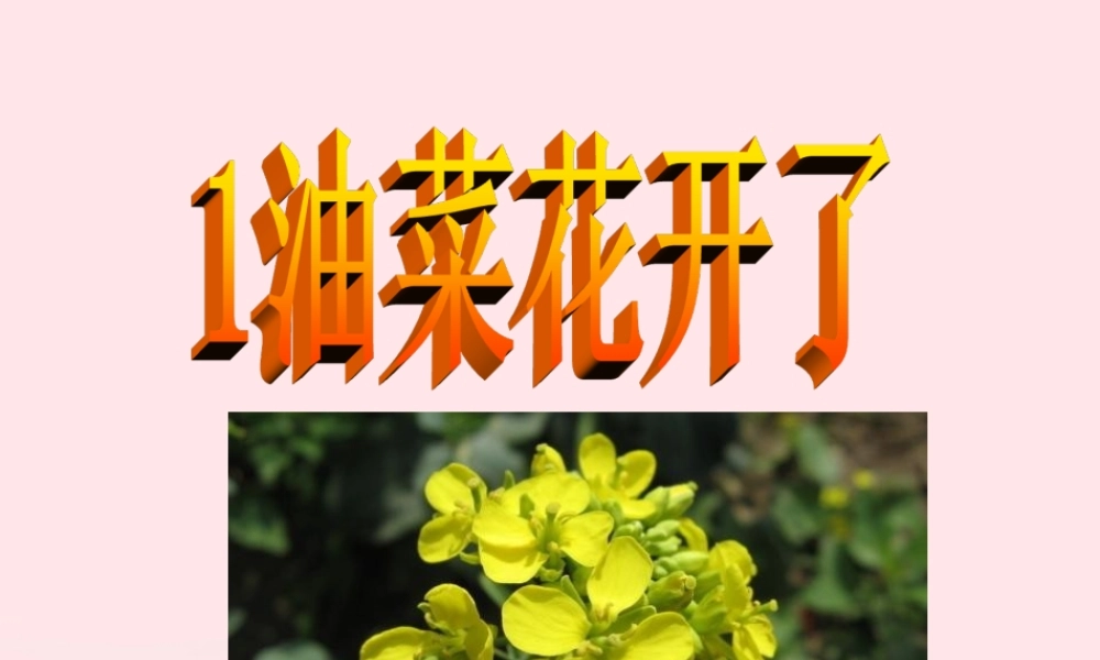 四年级科学下册 2 新的生命 1《油菜花开了》课件 教科版-教科版小学四年级下册自然科学课件