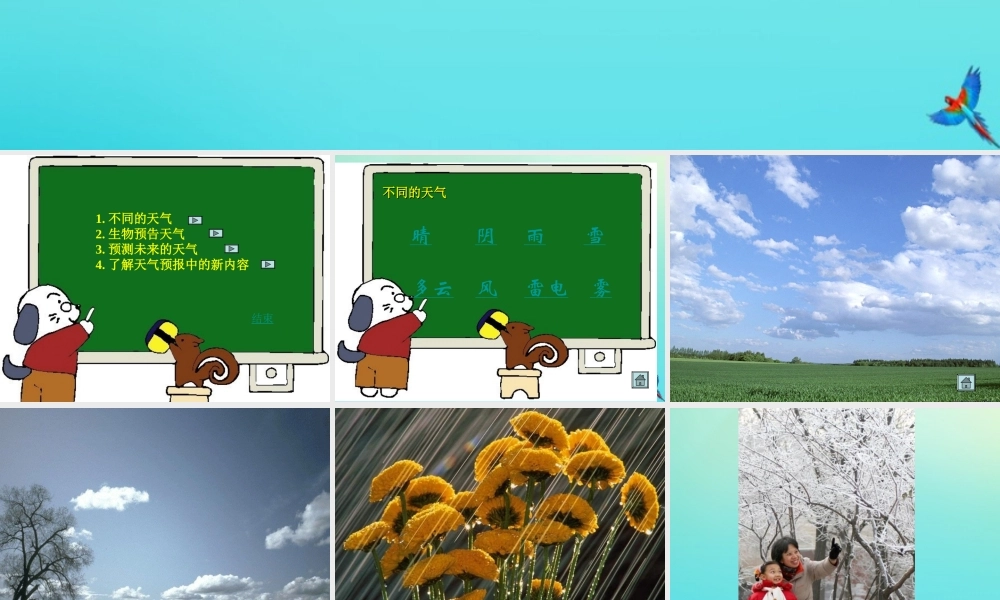 四年级科学下册 第二单元 天气 第2课 多样的天气课件2 冀人版-人教版小学四年级下册自然科学课件