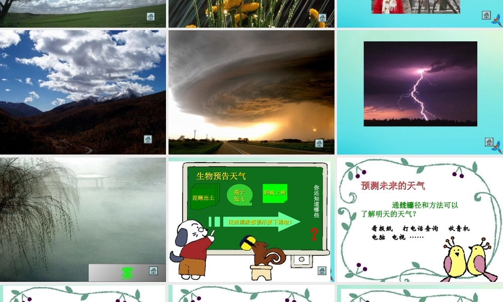 四年级科学下册 第二单元 天气 第2课 多样的天气课件2 冀人版-人教版小学四年级下册自然科学课件